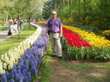 Holandsko a Belgie - zájezd nejen za tulipány a větrnými mlýny